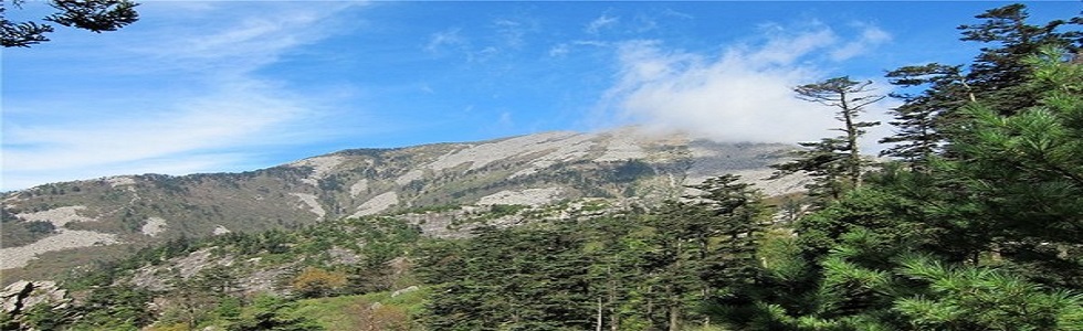 户县主题游,户县主题旅游景点,户县蚂蜂窝旅游指南