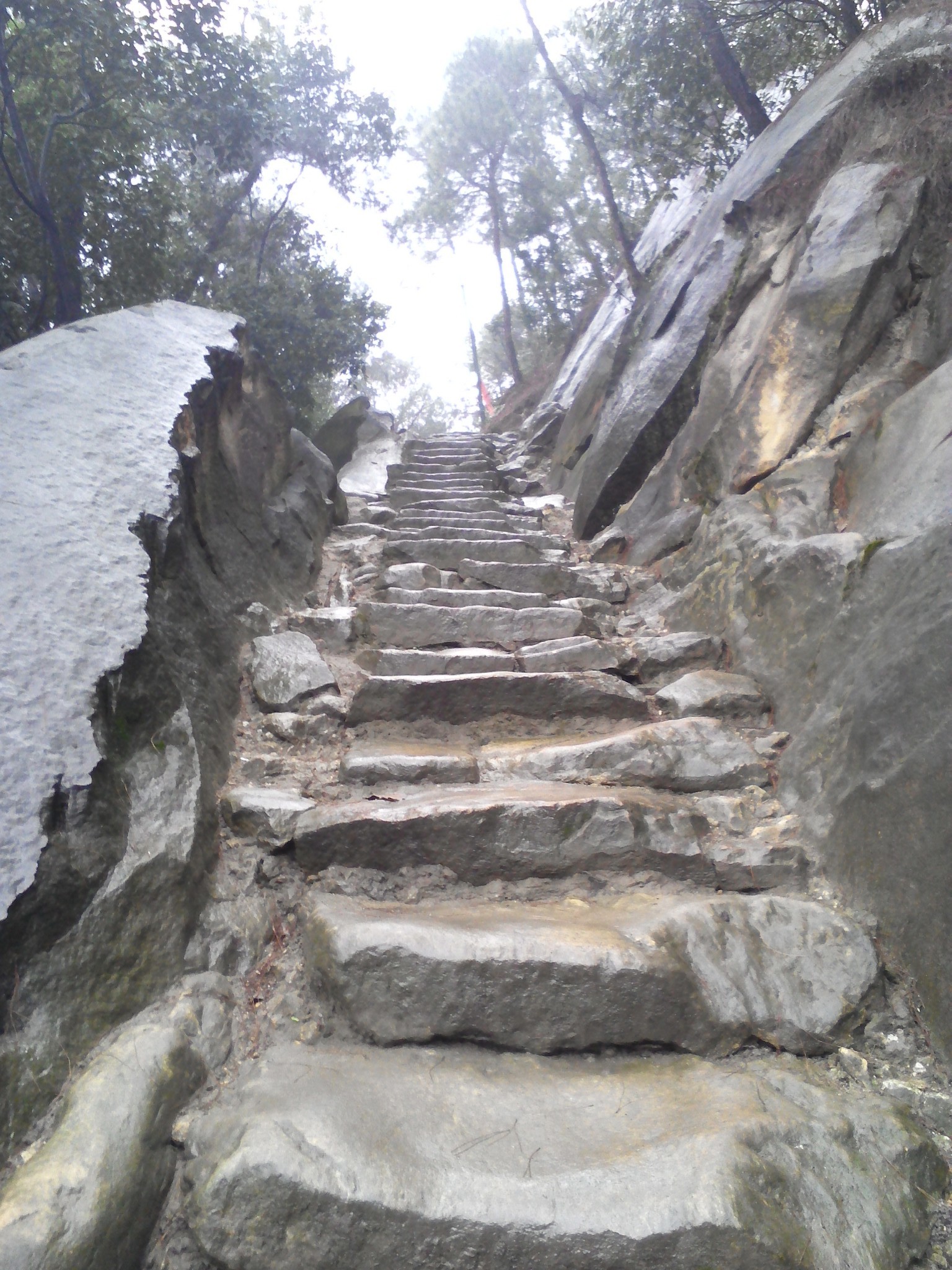 雨游大渡口区森林公园