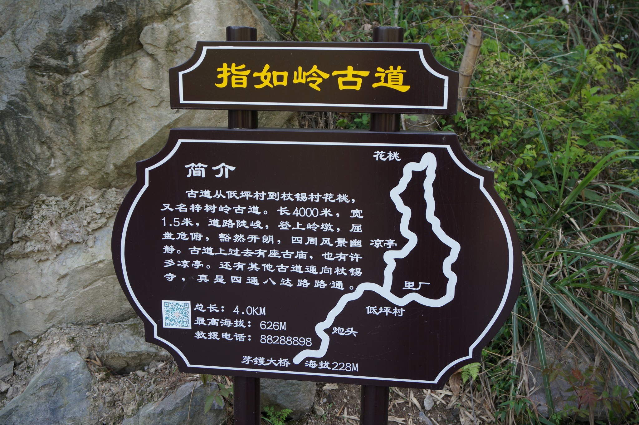 花样游记大赛#鸟语花香季,四月徒步行走四明山樱花时