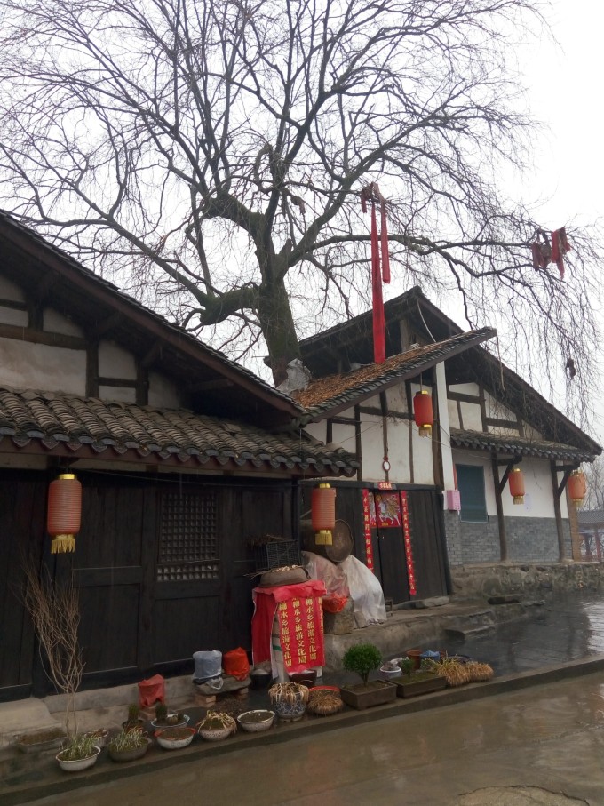 魅力安康过大年--熨斗古镇图片