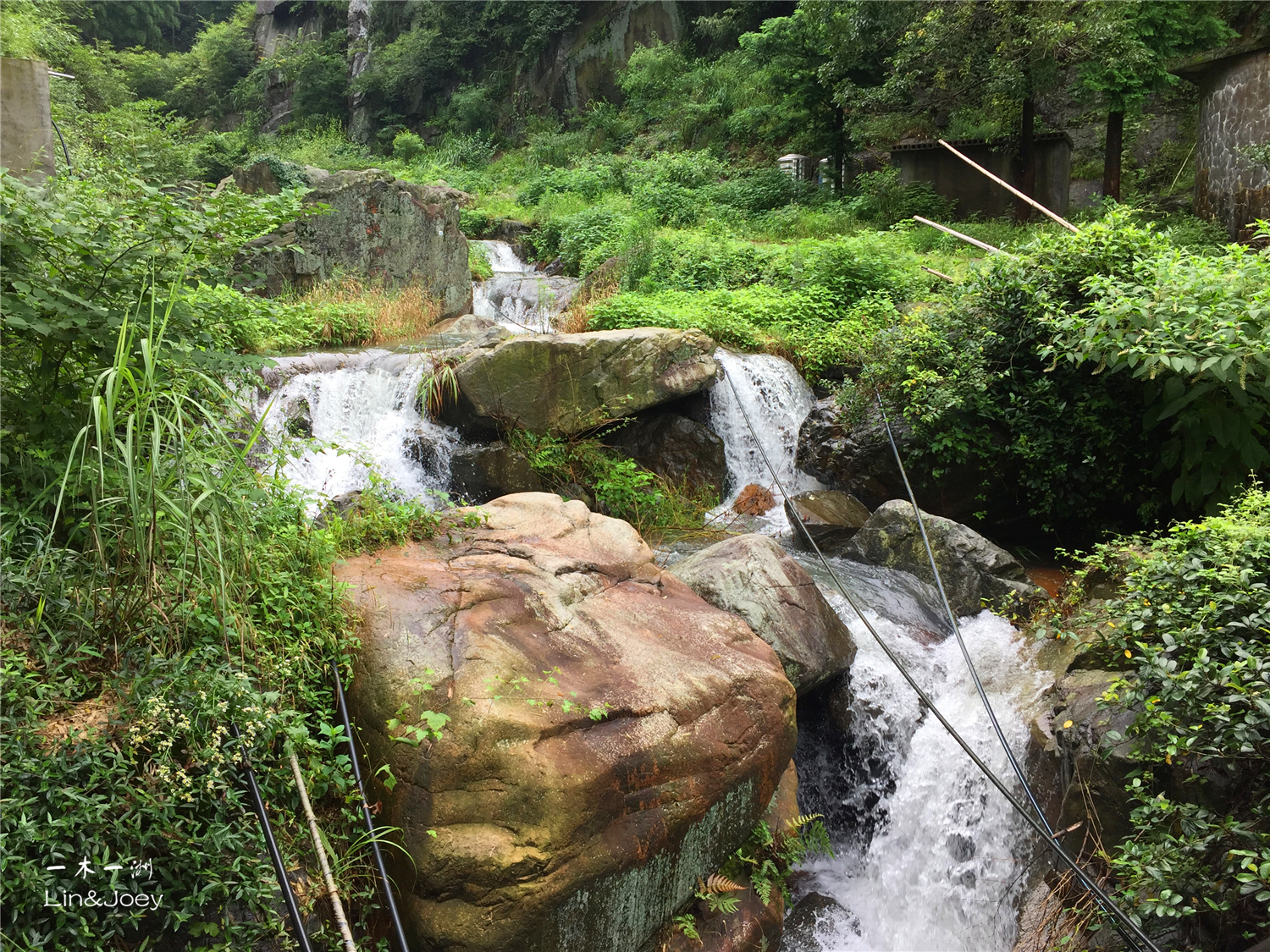 莫干山 碧坞龙潭       