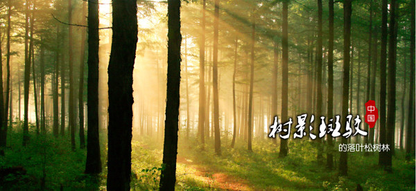 哈吉夏营地 - 半袖新闻网