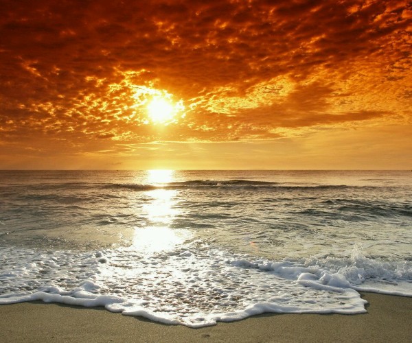 深圳集合 香港直飞沙巴+文莱6天5晚半自由行 