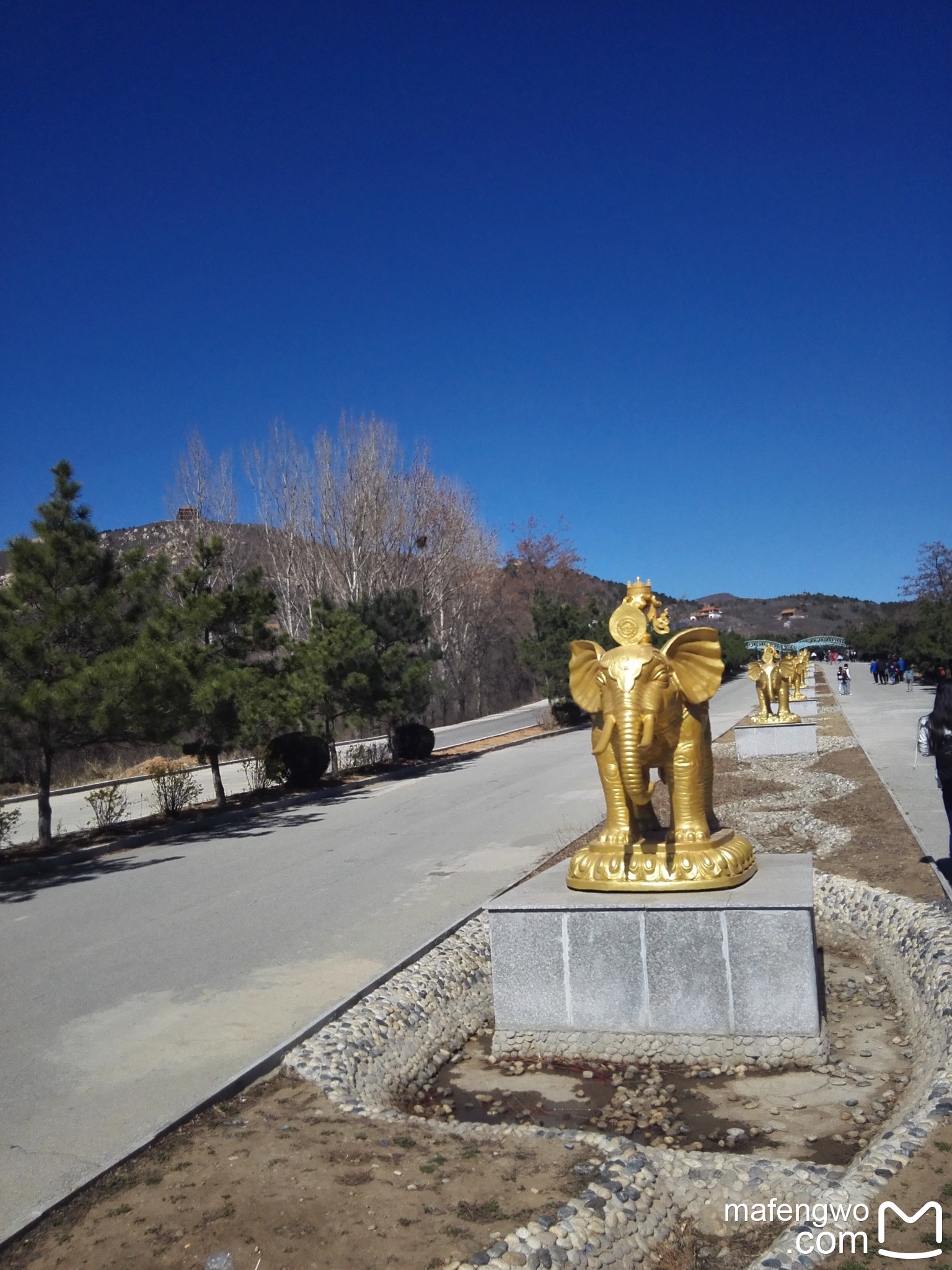 阜新海棠山国家森林公园