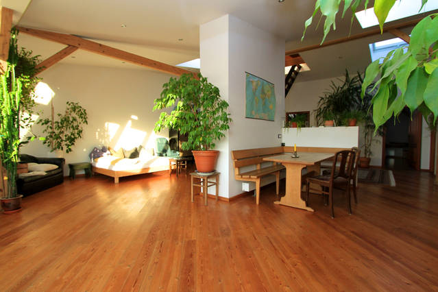 beautiful attic floor dwelling