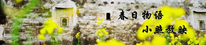 小照放映 小照放映